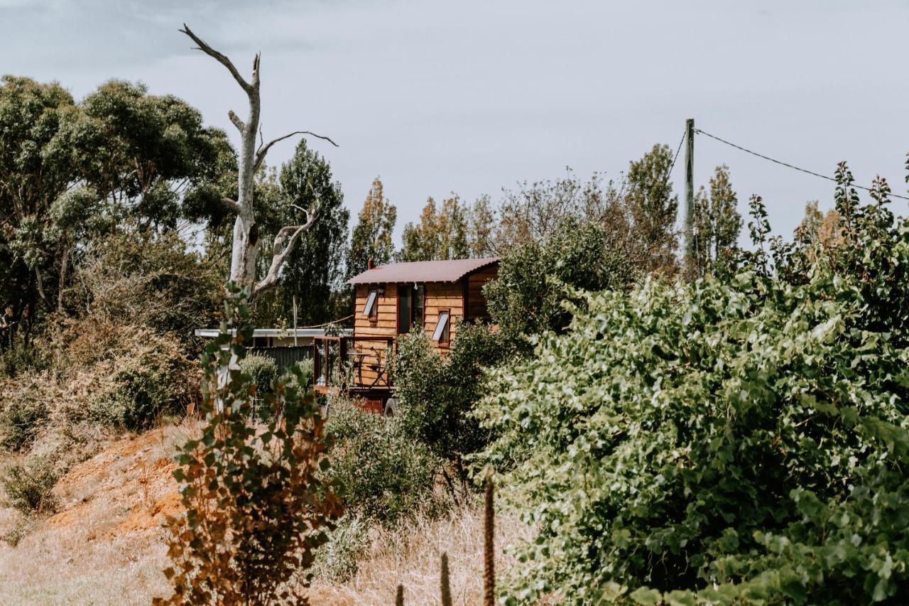 Belmont Homestead Свонсі Екстер'єр фото